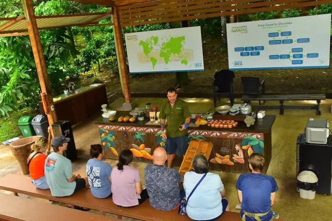 Ziplining in Jaco: 10 cables with chocolate tasting