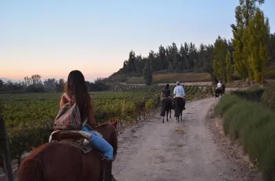 Reitausflug bei Santiago: Wein, Weinberge & Grill am Lagerfeuer