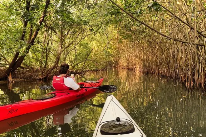 Paravur Backwaters: Kajak durch Mangroven und unter Eisenbahnbrücke
