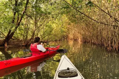 Kayaking Paravur Backwaters: Mangrove forest & railway bridge