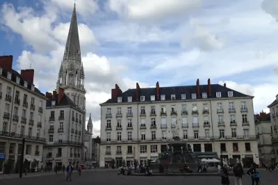 Visite à pied de Nantes avec un guide local : 60 minutes