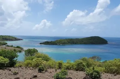 Kayaking Robert's Bay Martinique: Independent Navigation Tour