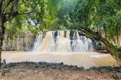 Chamarel Tour: Seven Coloured Earth, Rhum Factory, Lunch