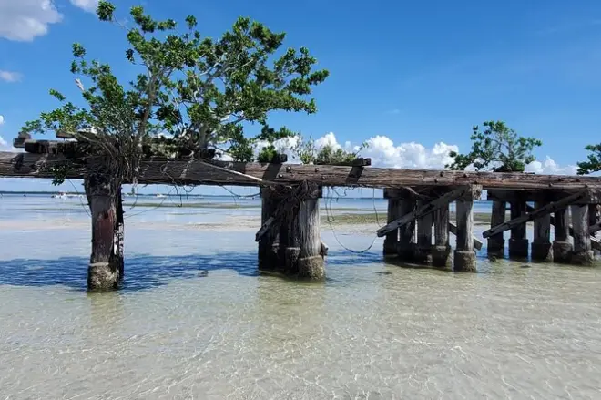 Snorkeling in Englewood, Florida: Full-day sand bar adventure