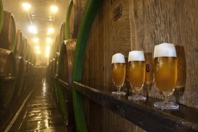 Birreria di Pilsen con pranzo e degustazione Pilsner Urquell