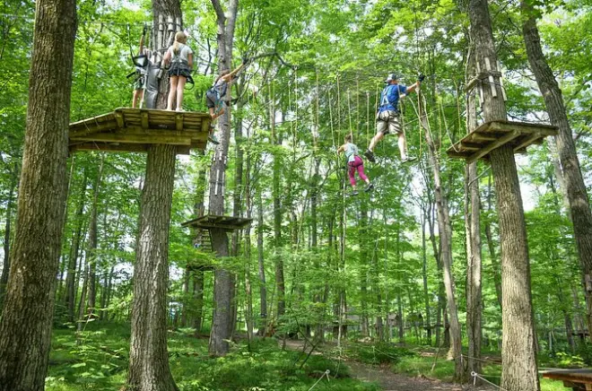 Ziplining at Bristol Mountain Aerial Adventures: 120+ Elements