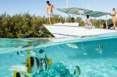 Schnorcheln in Moorea: Kleine Gruppe mit Rochen, Haien & Mittagessen