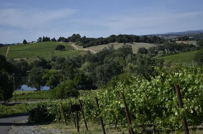 Dégustations privées près de Sacramento : Sélectionnez vos vignobles