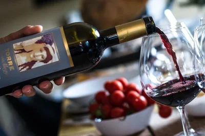 Scopri i vigneti biologici del chianti vicino a radda, visita una cantina bio, assaggia vini locali e olio d’oliva, e condividi storie con la guida. snack inclusi.