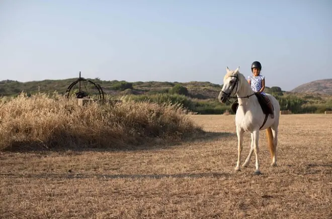 Équitation enfants à Carrapateira : Guide du picadero inclus