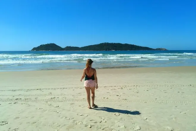 Plages préservées de l'île du Sud : 7 plages privées avec guide
