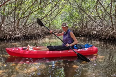 Kayak sur la rivière Anclote : Mangroves et Historic Sponge Docks à Clearwater