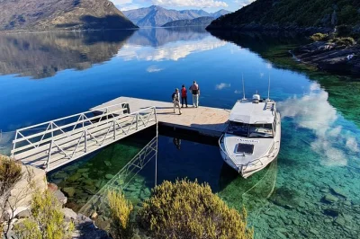 Découvrez l’île mou waho depuis le lac wanaka, observez les rares buff weka, profitez d’une balade guidée en forêt, d’un thé avec vue sur le lac et plantez un arbre natif — transfert incl