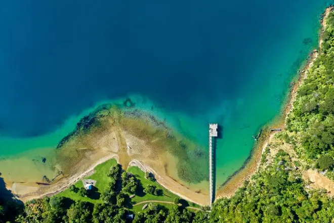 Observação de golfinhos em Picton com biólogo marinho guia