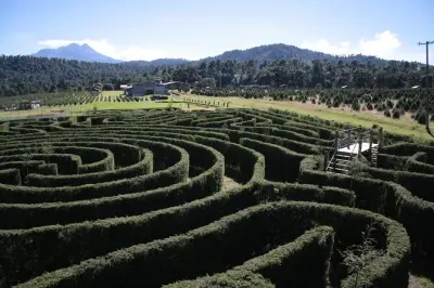 Alpinia Naturpark Eintritt: Größtes Labyrinth Mexikos