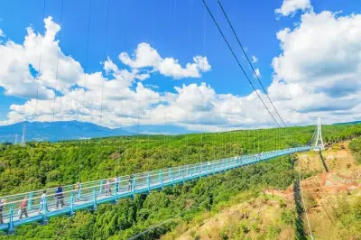 Hakone to Mishima Skywalk tour: Lake Ashi, Mt. Fuji views
