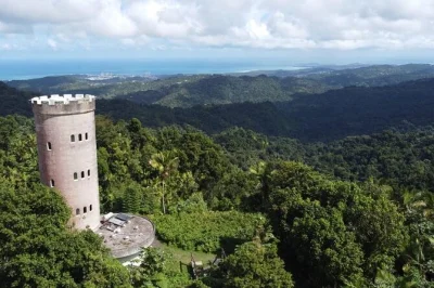 Feel the misty air on a guided el yunque rainforest hike from san juan, climb to mt britton tower, and catch atlantic views. includes hotel pickup and small group.