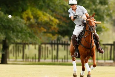 Try polo near buenos aires with a real player, horses for all levels, and roundtrip transport from the city. includes gear and a friendly local guide.