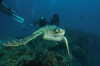 Immersioni a Isla del Caño: Sub certificati, gruppi piccoli