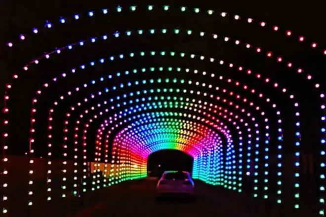 Luces de Navidad en Branson: Tour VIP en autobús para 14 pasajeros