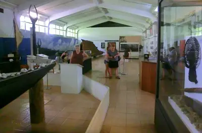 Private Suva City Tour: Flexible itinerary, bilingual guide