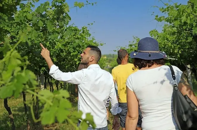 Hofbesuch mit Tieren und biodynamischer Weinverkostung in Lazise