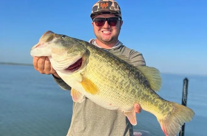 Pesca guidata a Canyon Lake: Charter privato