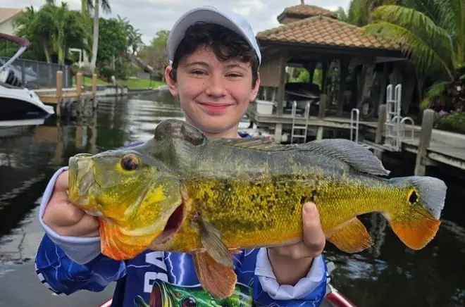 Lake Osborne Privat Angelcharter für Peacock Bass