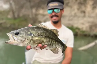 Pesca a mosca a Canyon Lake: Giornata intera con attrezzatura inclusa