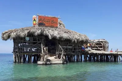 Pelican Bar, Appleton Estate & YS Falls Tour ab Negril