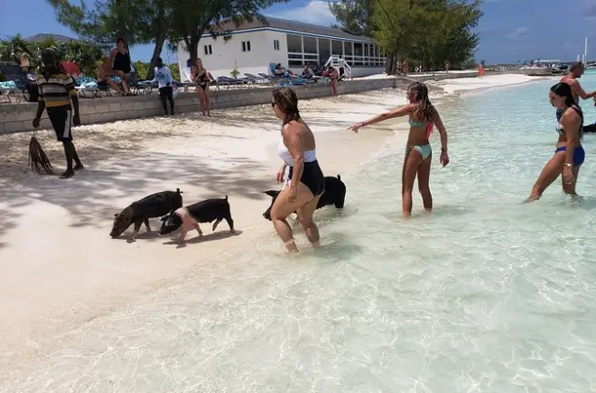 Snorkeling da Nassau Harbor: Rose Island e Gilligan's Island