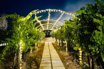 Degustação de 5 vinhos do Abruzzo em vinícola de S. Maria Imbaro