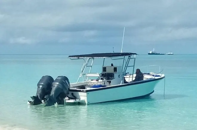 Rose Island da Nassau Harbor: Snorkeling tra barriera e tartarughe