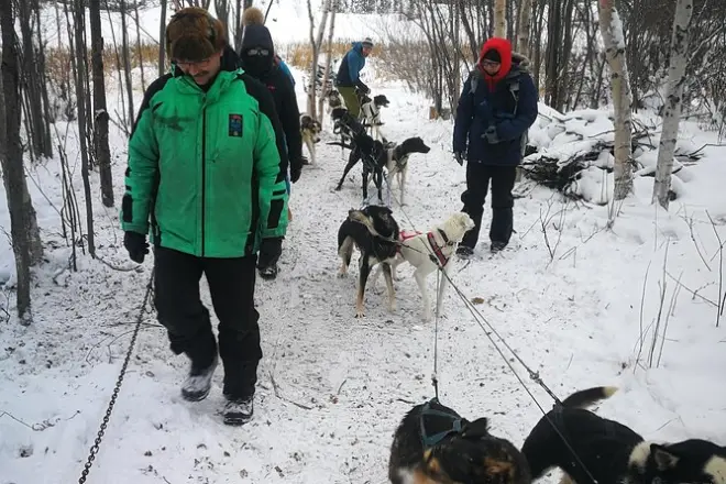 En Yellowknife, conoce al equipo y disfruta del trineo de perros