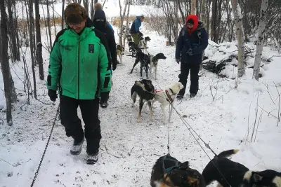 Dog sledding a Yellowknife: Incontra la squadra e guida