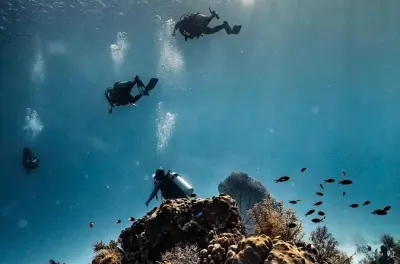 Diving in San Andres: Statues and Marine Life