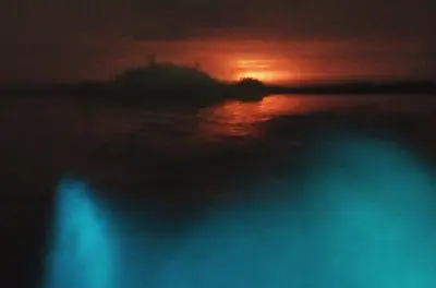 Tour de nuit bioluminescent à Puerto Escondido : Lagune Manialtepec