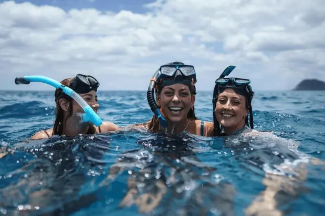 Snorkel em Vanuatu: Paradise Cove com plantio de coral