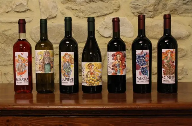 Visita à vinícola Brugnoni perto de Perugia: Degustação de 4 vinhos