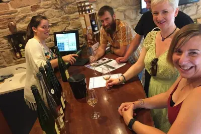 Private Wein-Tour durch Elsass im Tesla: Individuell gestaltbar