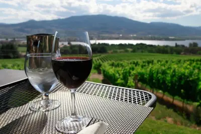Tour privato Niagara Wine Trail con 4-5 cantine e soste su misura