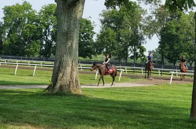 Clay Pigeon Shooting & Horse Farms in Lexington: Full-Day Tour