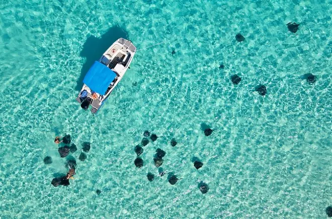 Stingray City al amanecer desde Camana Bay: Privado, 2 horas