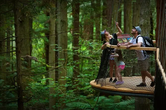 Desde Tauranga: Te Puia, Redwoods y spa de barro Hells Gate