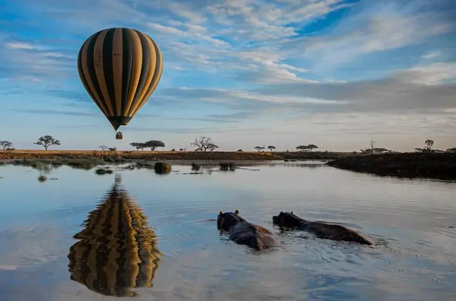 6-tägige Serengeti Safari ab Arusha: Vier Nationalparks