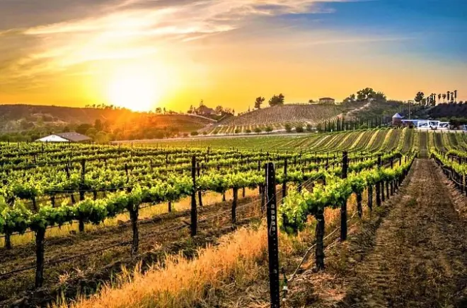 Tour del vino da San Diego a Temecula: Old Town e cantine