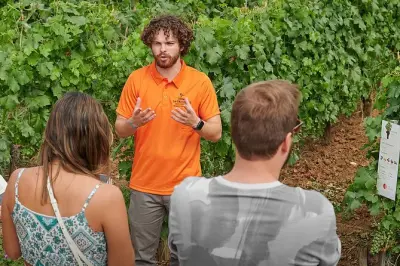 Saint-Émilion: Degustação em duas vinícolas Grand Cru em 1 hora
