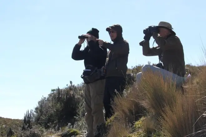 Observação de aves no parque nacional de Cajas, saindo de Cuenca