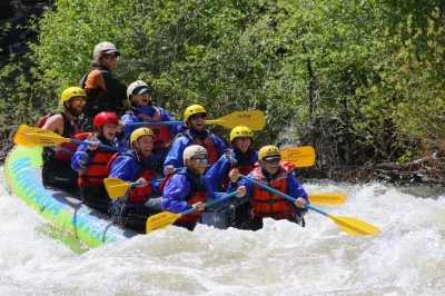 Feel the gallatin river’s energy on a family-friendly rafting trip with gentle rapids, mountain scenery, and local guides. includes wetsuits, gear, and expert support.