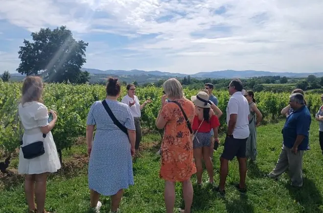 Degustazioni di Beaujolais nelle Pierres Dorées da Lione privata